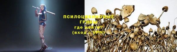 дмт Белоозёрский